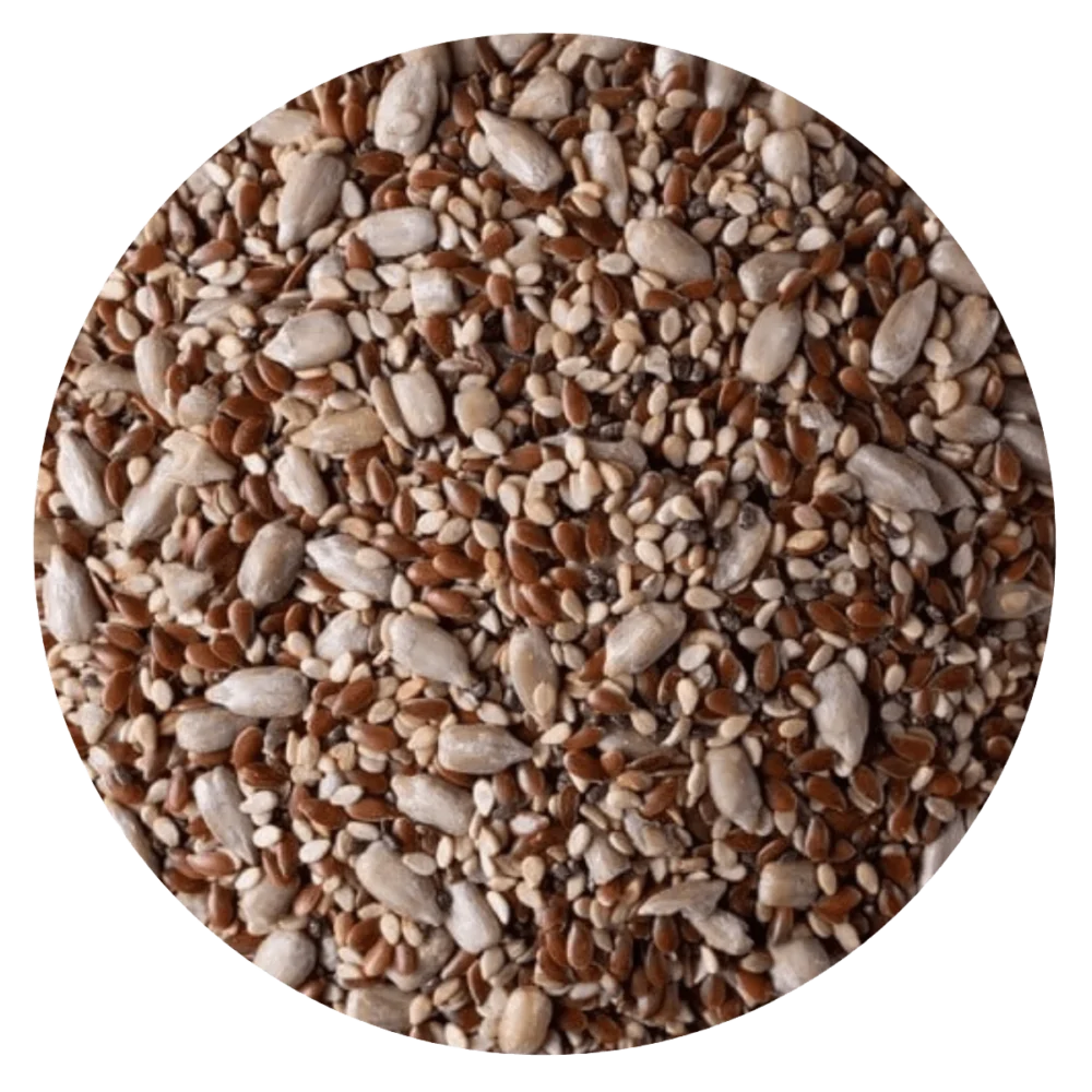 Mix de semillas x 1 kg